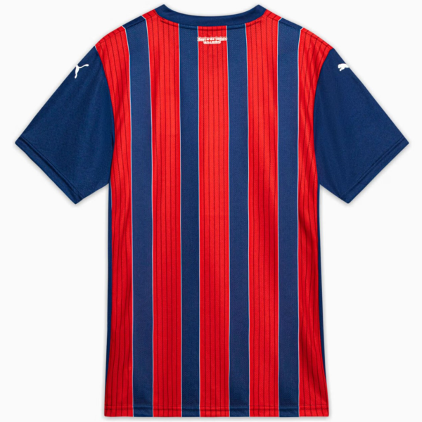 Camisa Bahia 2 Torcedor Masculina 2025 / 2026 - Imagem 2