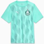 Camisa Palmeiras Pré-Jogo Verde Torcedor Masculina 2025 / 2026