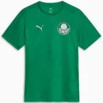 Camisa Palmeiras Treino Verde Torcedor Masculina 2025 / 2026