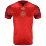 Camisa Bournemouth Pré-Jogo Torcedor Masculina 2024 / 2025