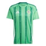 Camisa  Irlanda do Norte 1 Torcedor Masculina 2024 / 2025