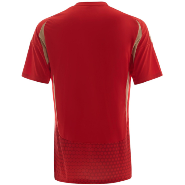 Camisa Al Ahly 1 Torcedor Masculina 2024 / 2025 - Imagem 2