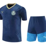 Kit Conjunto Treino Palmeiras Camisa + Short 2024 / 2025 - Masculino - Puma