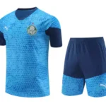 Kit Conjunto Treino Palmeiras Camisa + Short 2024 / 2025 - Masculino - Puma